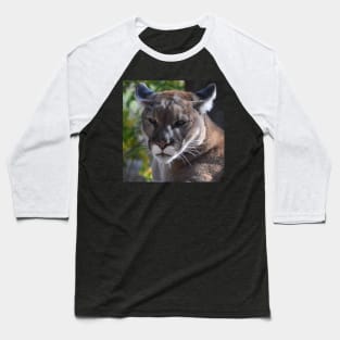 Mountain Lion Baseball T-Shirt